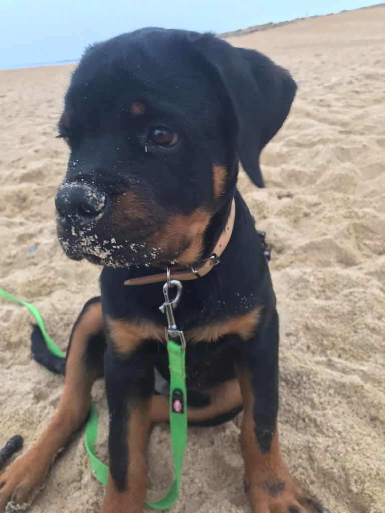 Ukka Vom Owane's Paradise