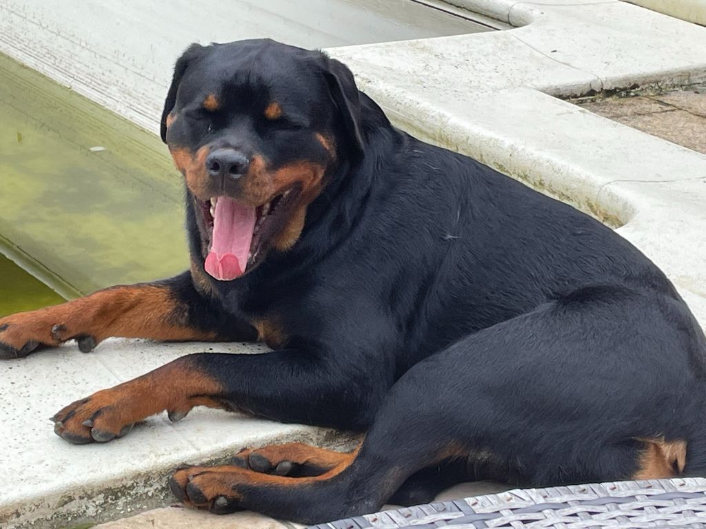 Venus Infinity Love Pei