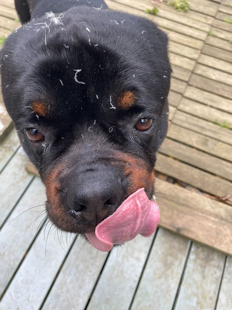 Ukka Vom Owane's Paradise