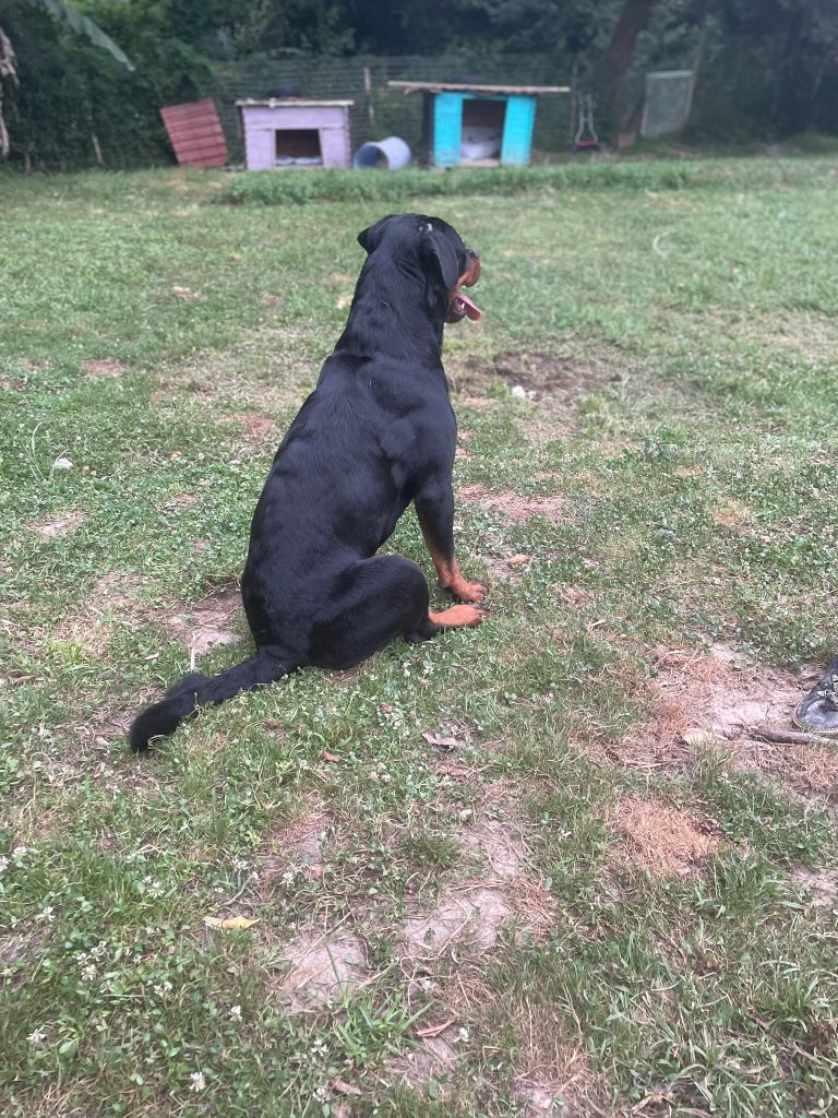 Venus Infinity Love Pei