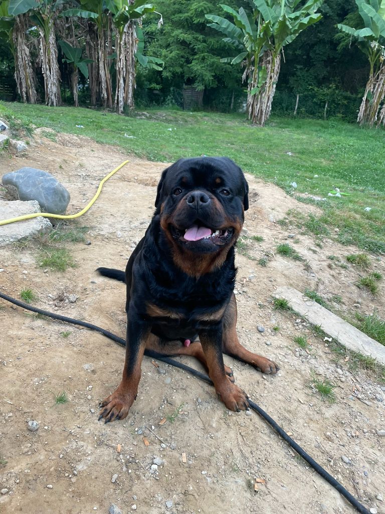 Ukka Vom Owane's Paradise