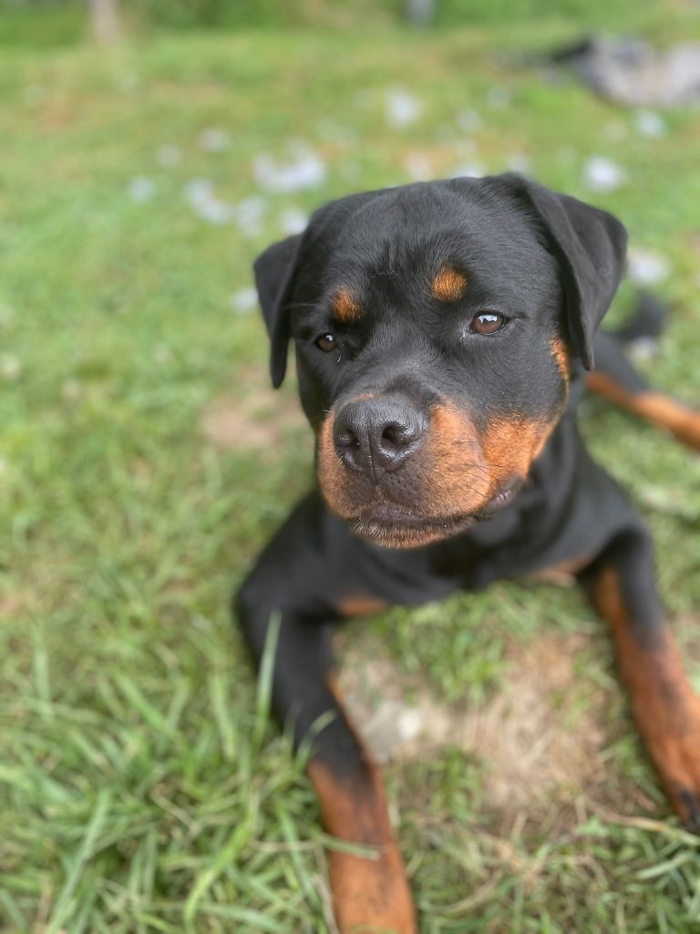 Venus Infinity Love Pei