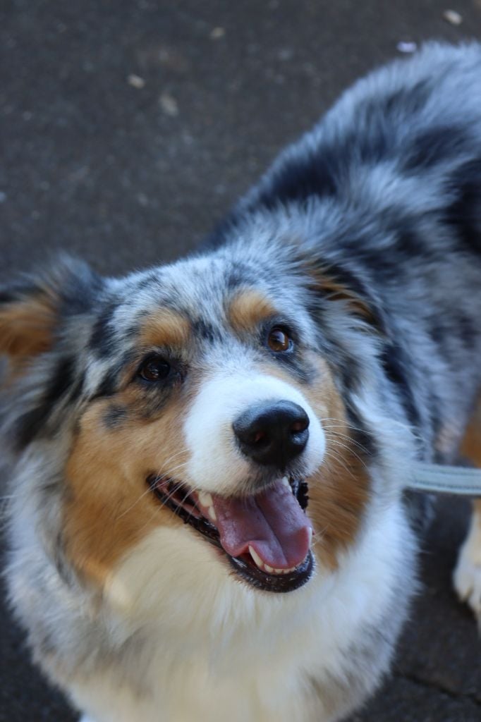 Publication : (Sans Affixe) Auteur : Rohan de @reve_de_shoot