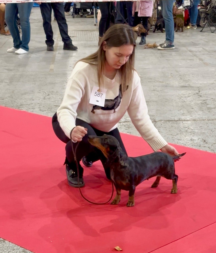 Uppsala Du Dom Fleur D'Amour - 1er EXCELLENTE CACS