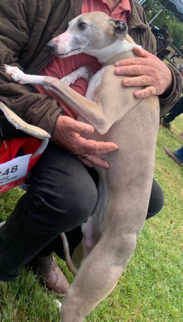 Olaf Gang Sing's Paradise