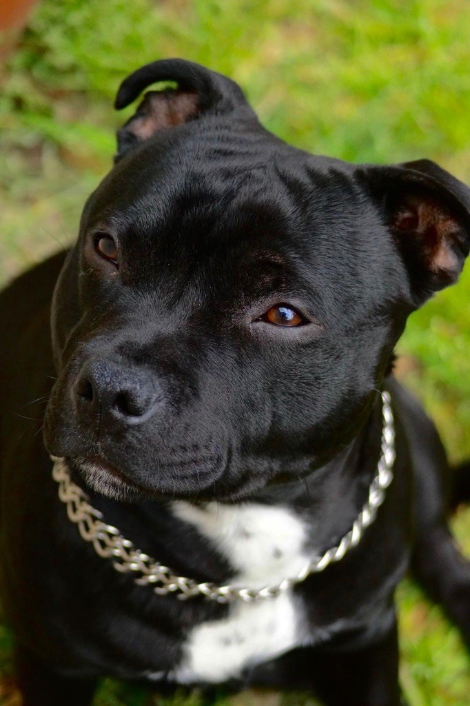 Publication : Mathilde ALBERT Auteur : Mathilde ALBERT