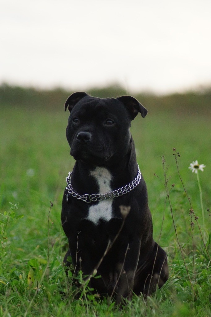 Publication : Mathilde ALBERT Auteur : Mathilde ALBERT