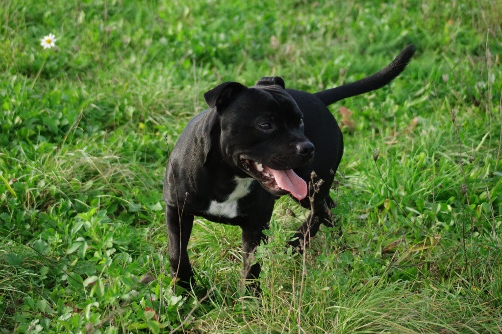 Publication : Mathilde ALBERT Auteur : Mathilde ALBERT