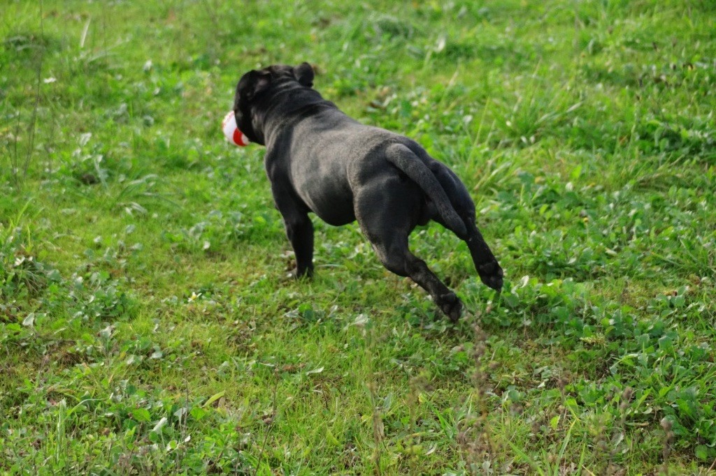 Publication : Mathilde ALBERT Auteur : Mathilde ALBERT