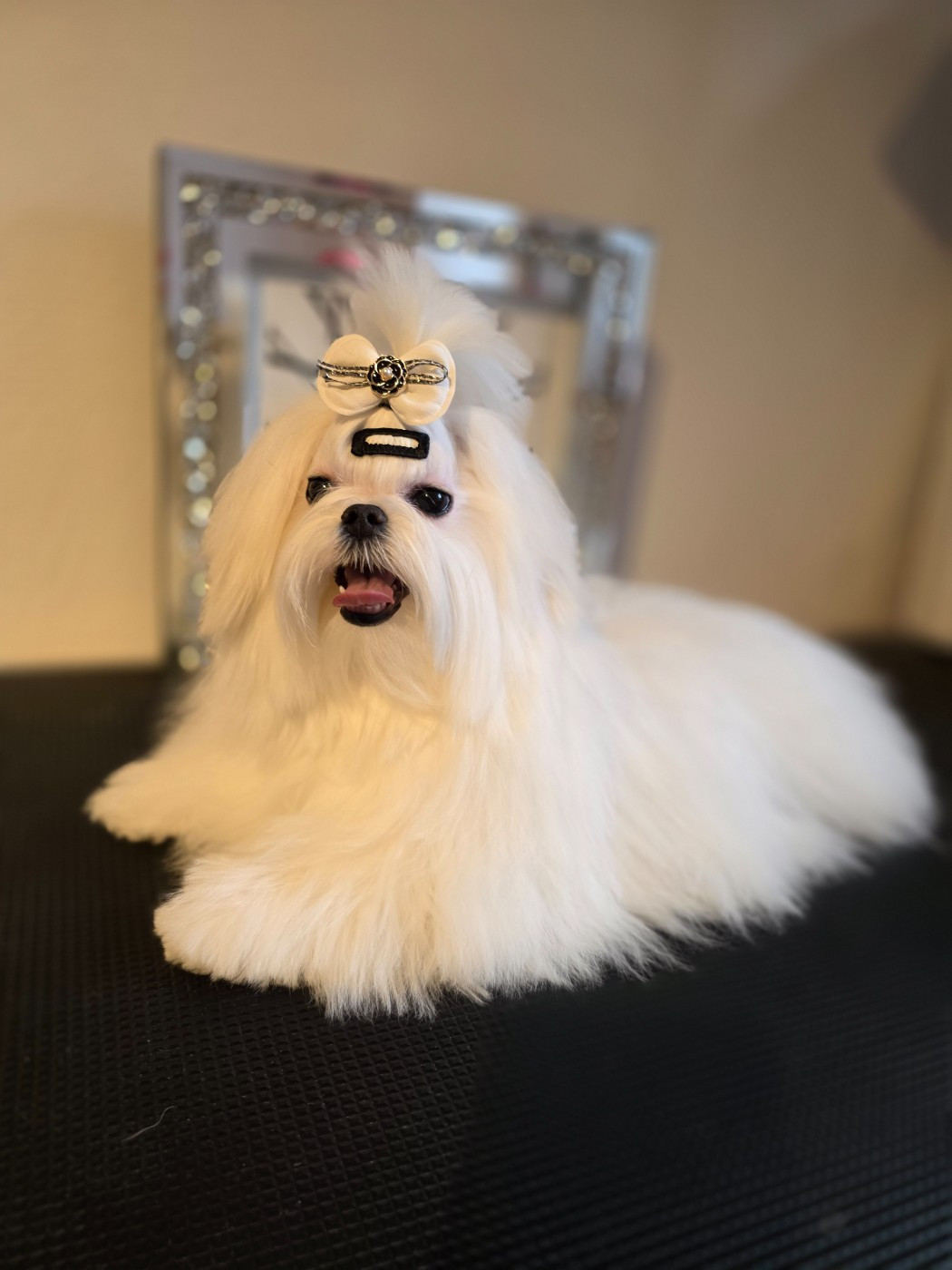 In-soo song of white