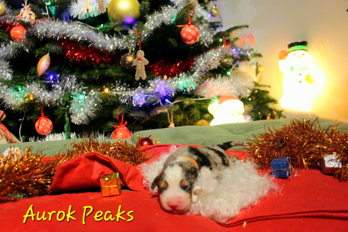 Aurok Peaks - Berger Australien