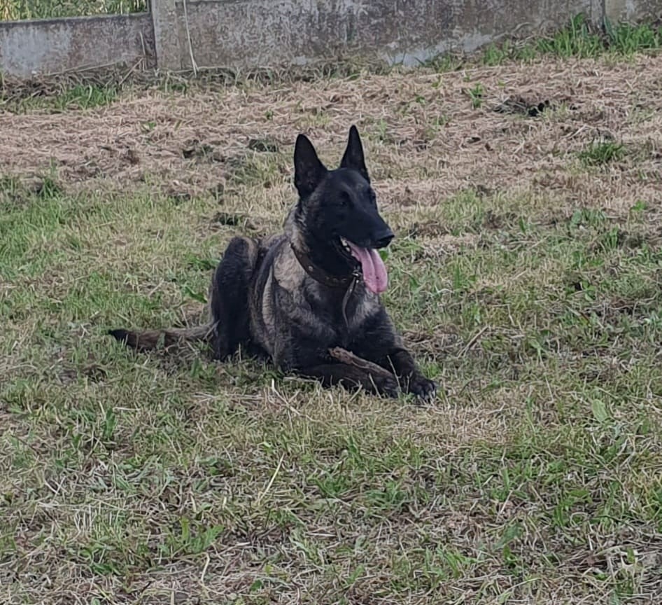 Raid De La Dream Team Des Charbonheur