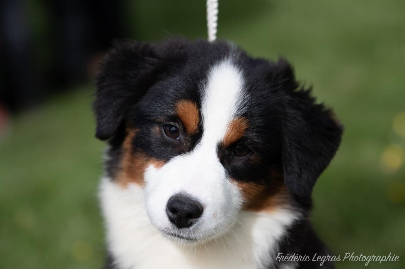 Un jeune homme chantait Des Montagnes Argentées