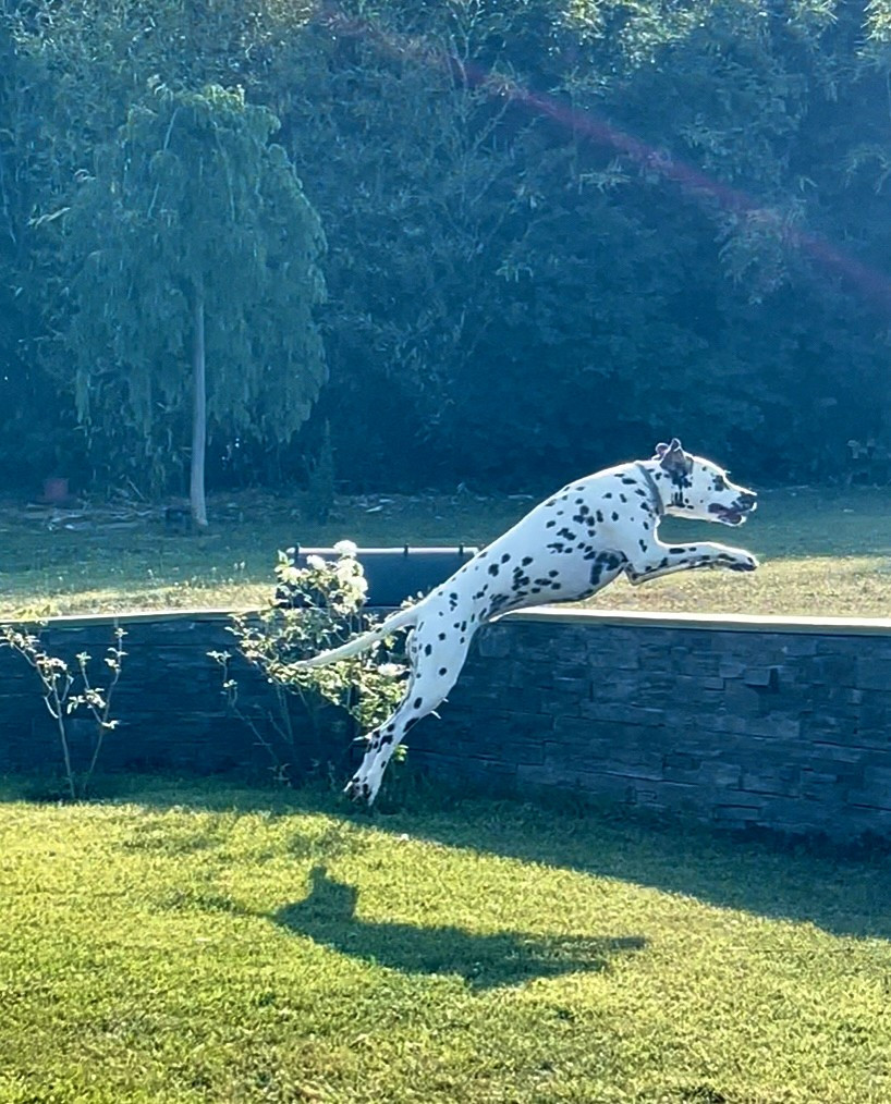 Terceira trésor Des Quatre Korrigans