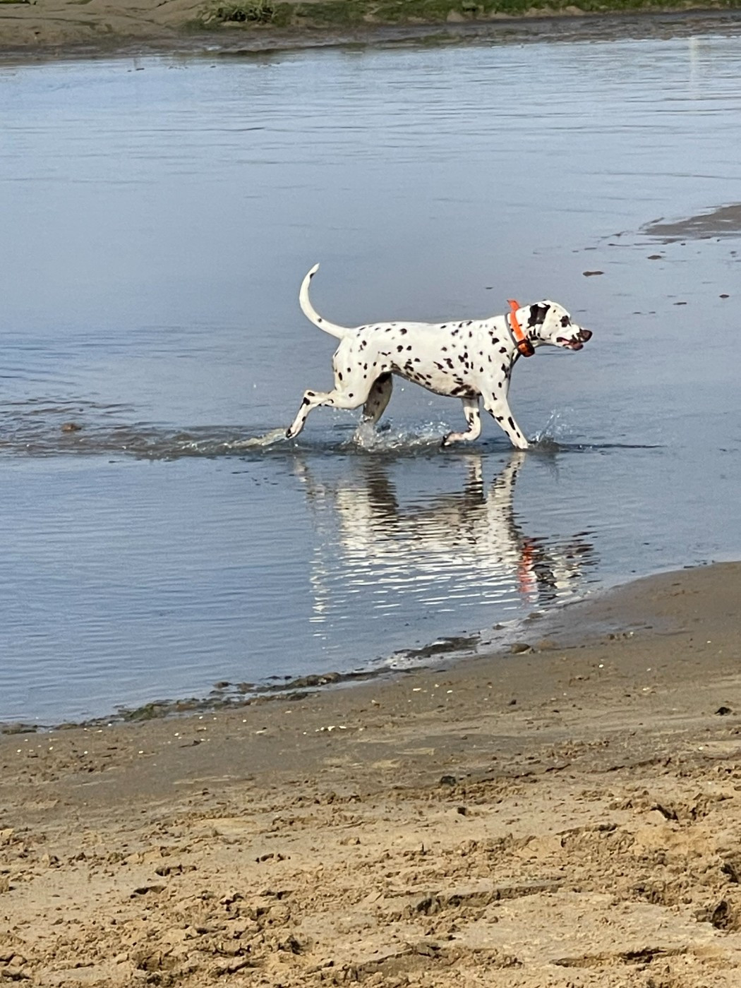 Terceira trésor Des Quatre Korrigans
