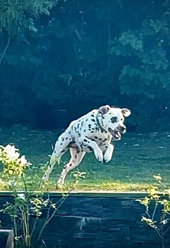 Terceira trésor Des Quatre Korrigans