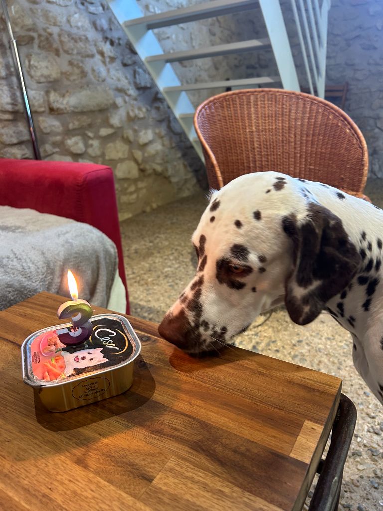 Terceira trésor Des Quatre Korrigans