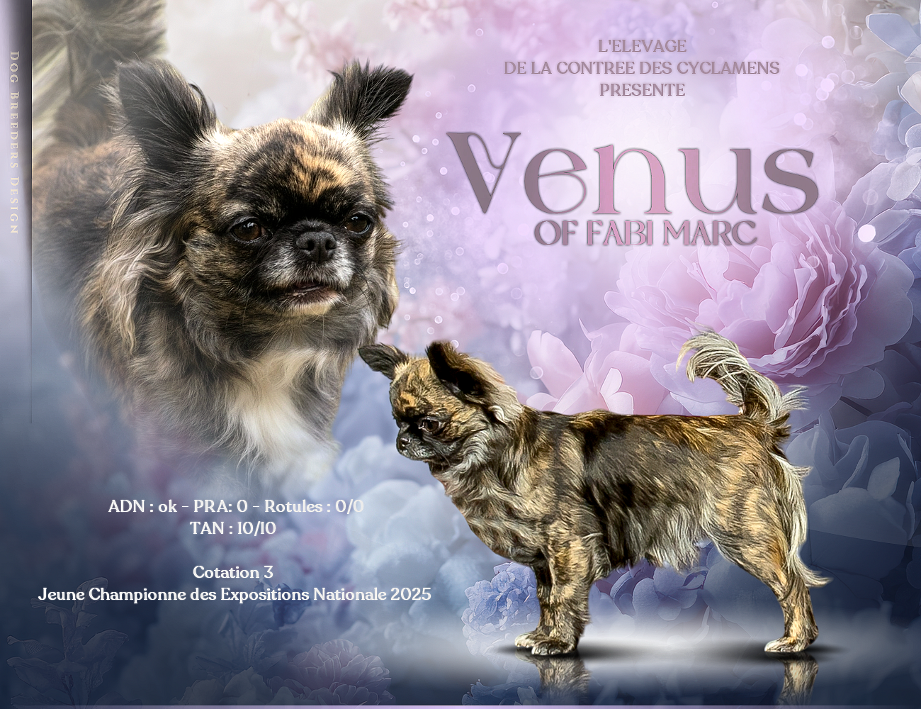 CH. Vénus of fabi marc - Excellent non classé