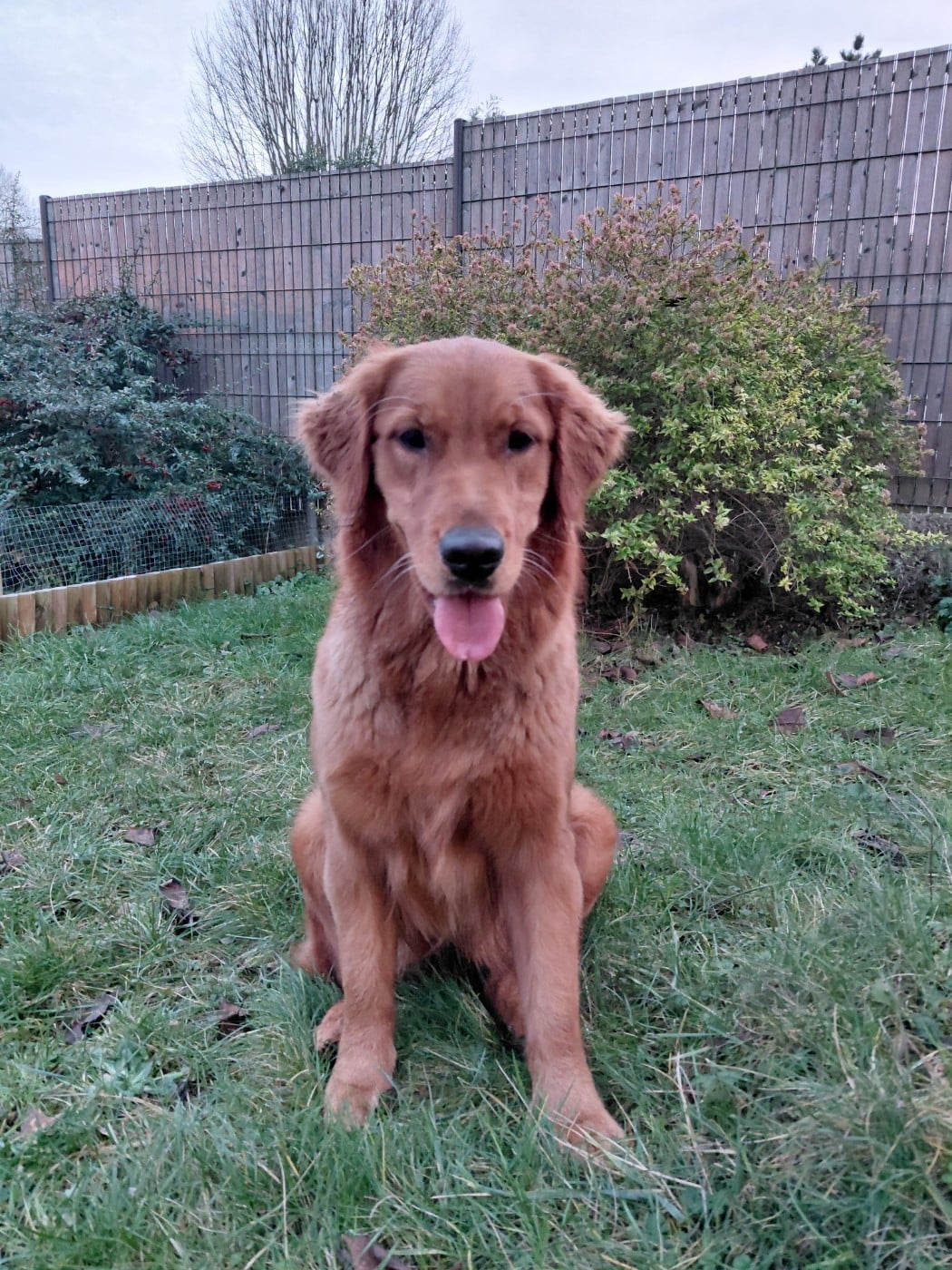 Publication : Du Bois Chenes Tauzains