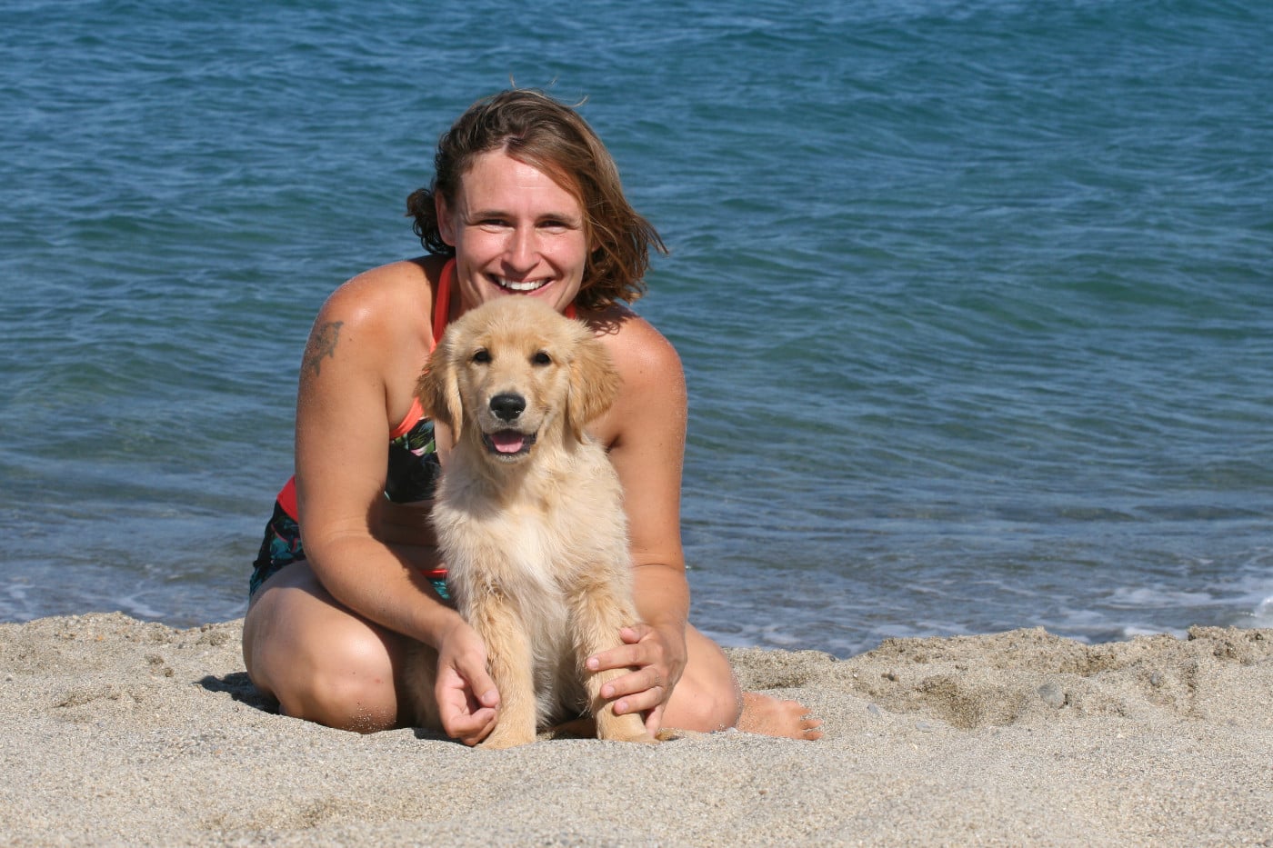 Siena Du Bois Chenes Tauzains