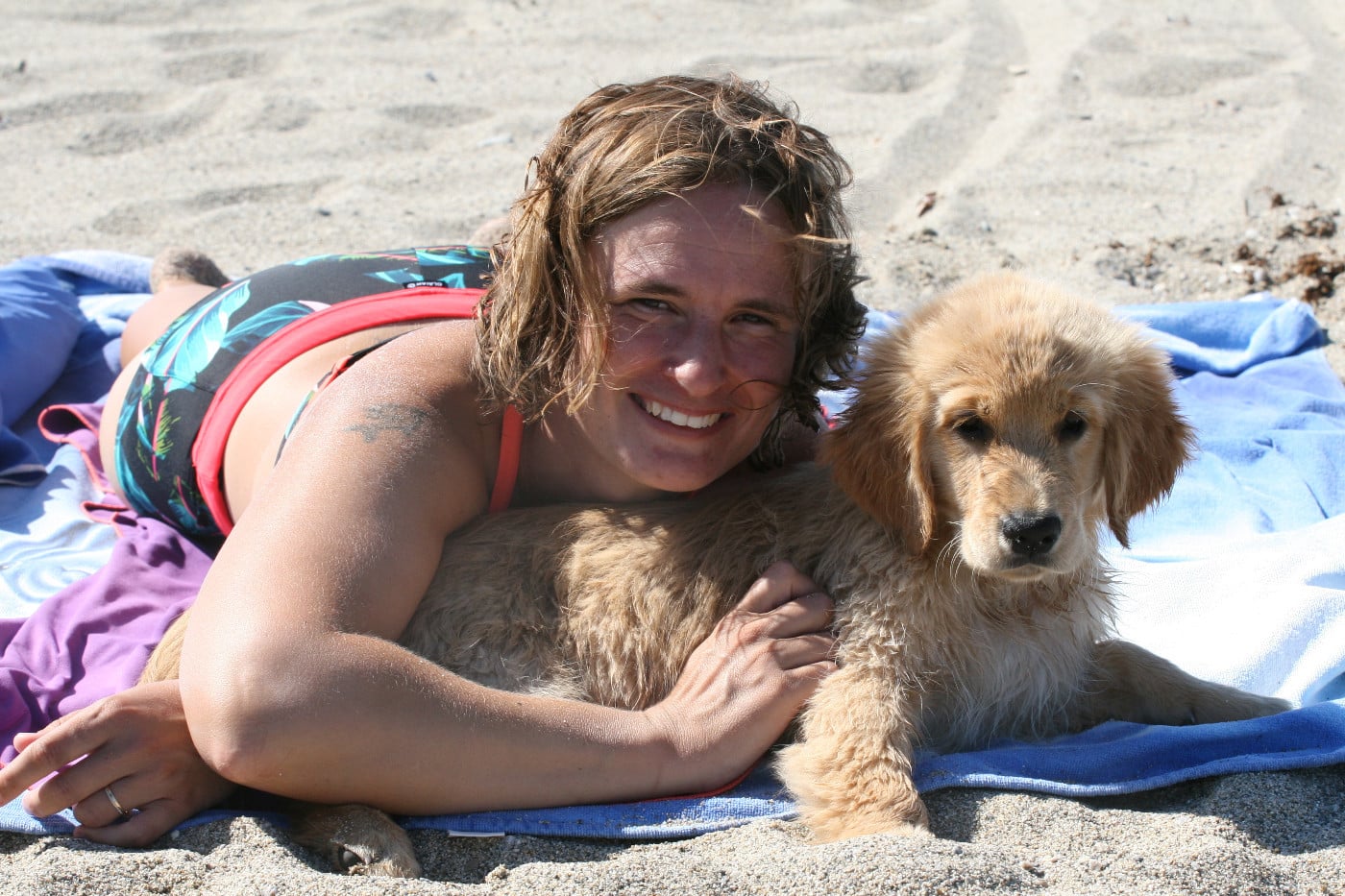 Siena Du Bois Chenes Tauzains