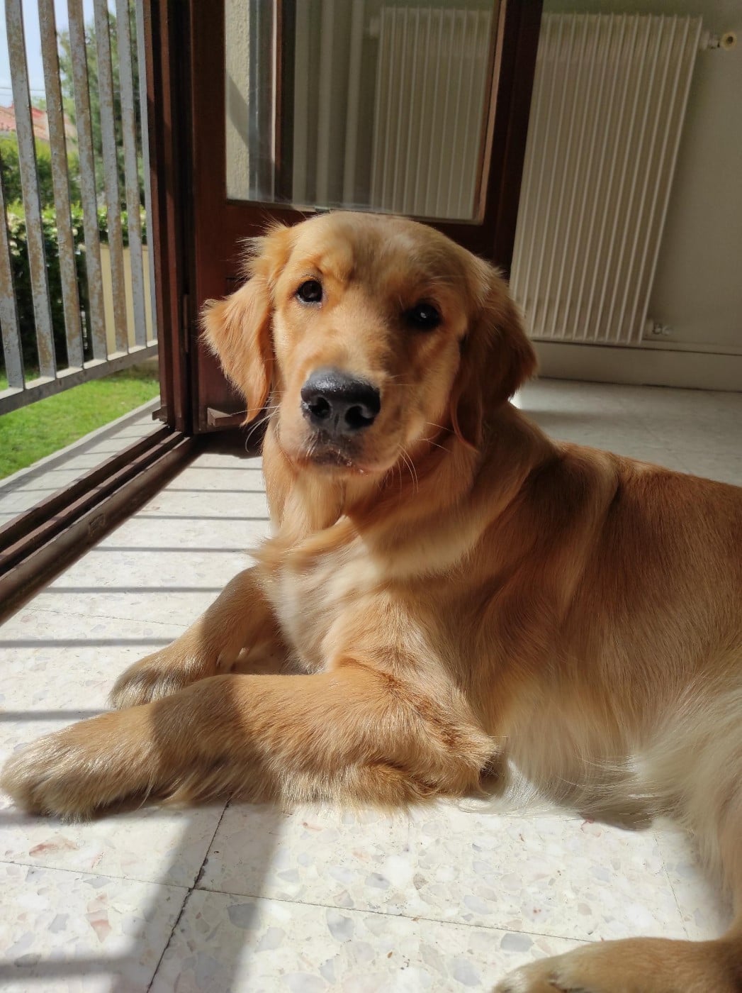 Siena Du Bois Chenes Tauzains