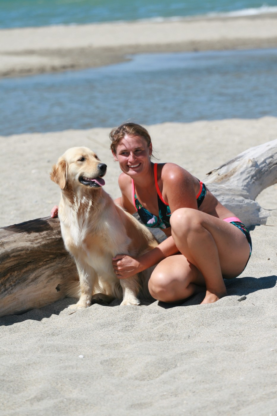 Publication : Du Bois Chenes Tauzains