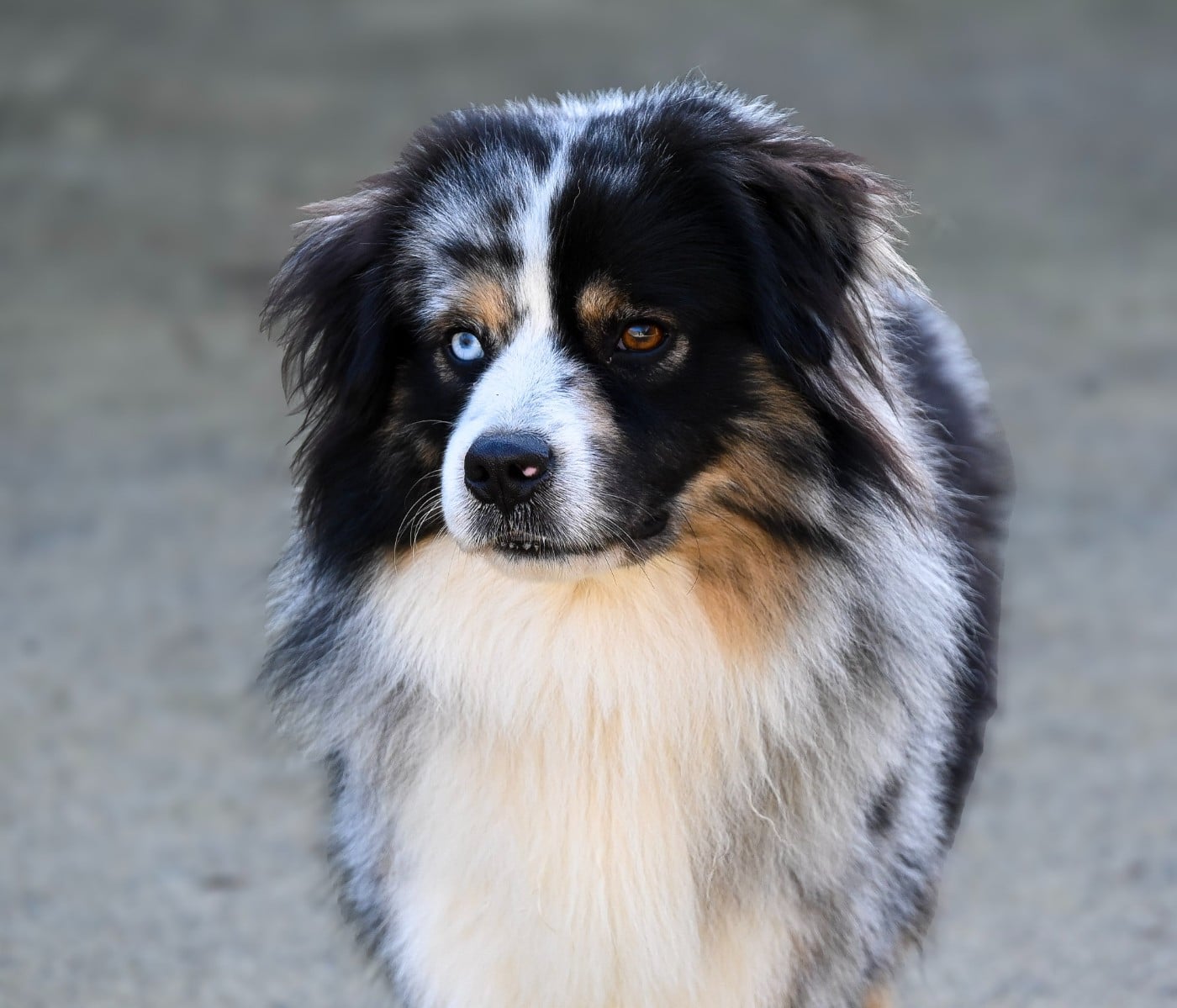 Publication : Domaine des Perles de la Riviera