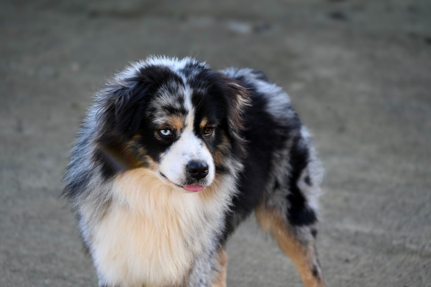 Publication : Domaine des Perles de la Riviera