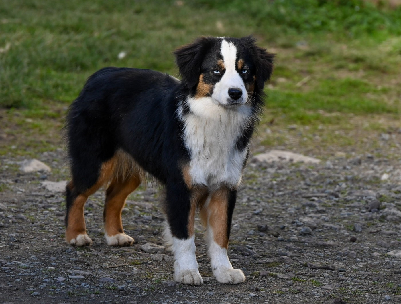 sweet world Que Sera of Moonglight Dreams