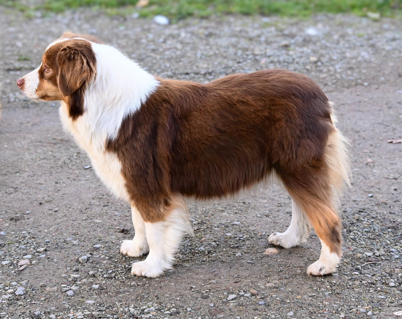 Publication : Domaine des Perles de la Riviera