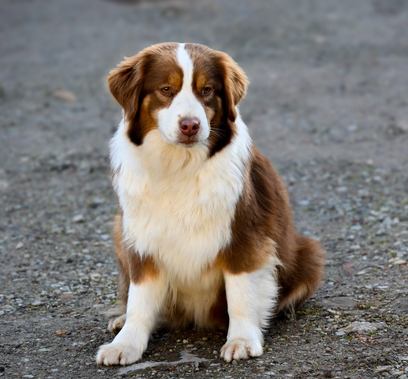 Publication : Domaine des Perles de la Riviera