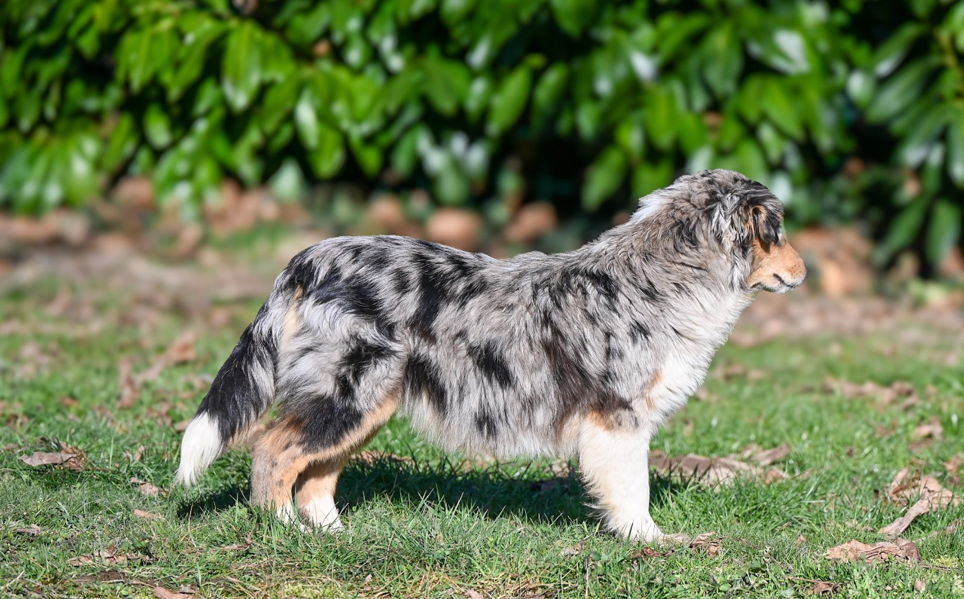 Appy Love du Domaine des Perles de la Riviera