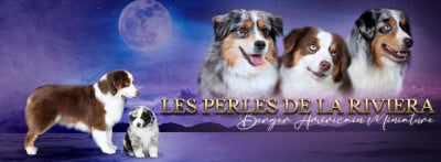 Domaine des Perles de la Riviera