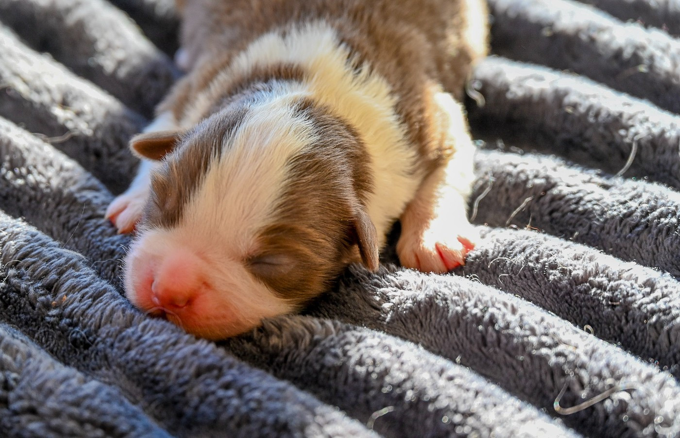 B...........................