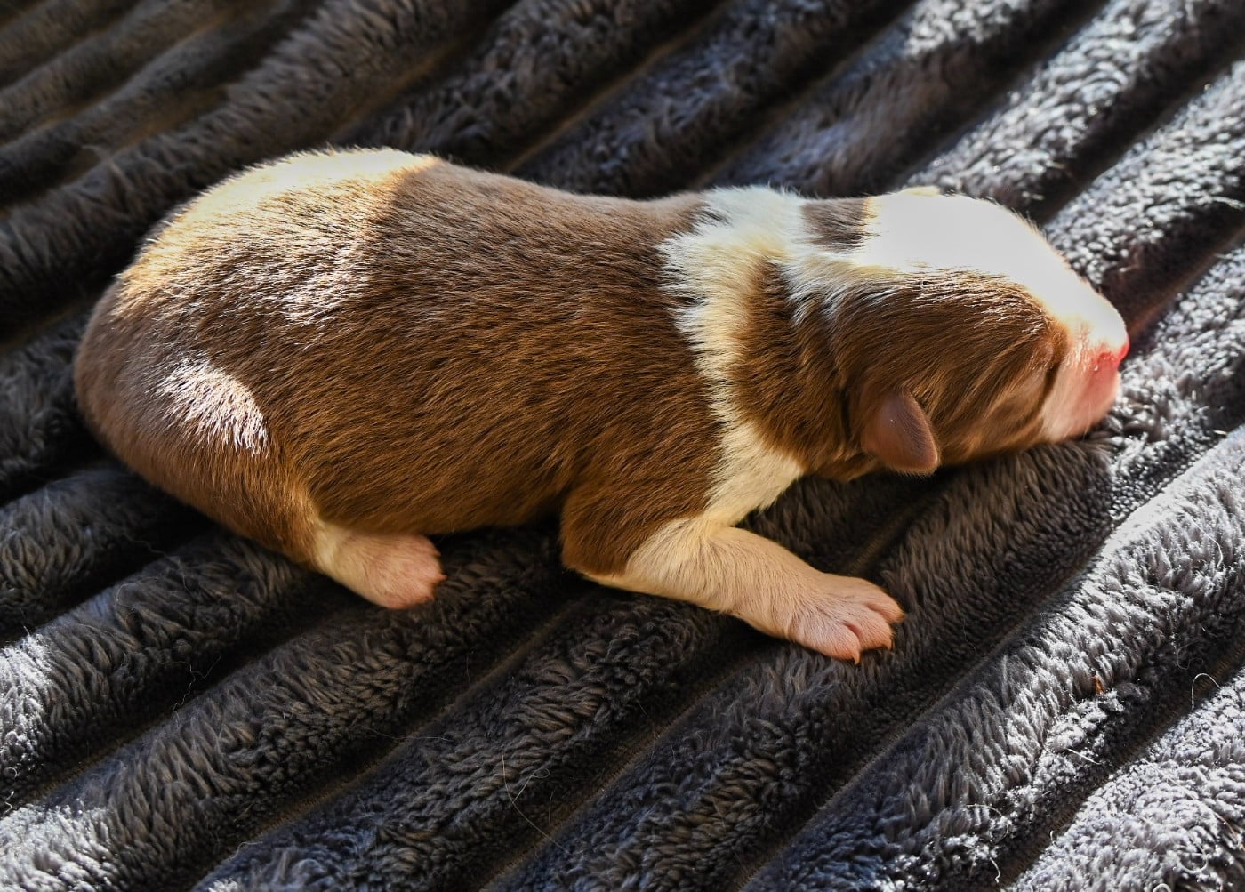 B...........................