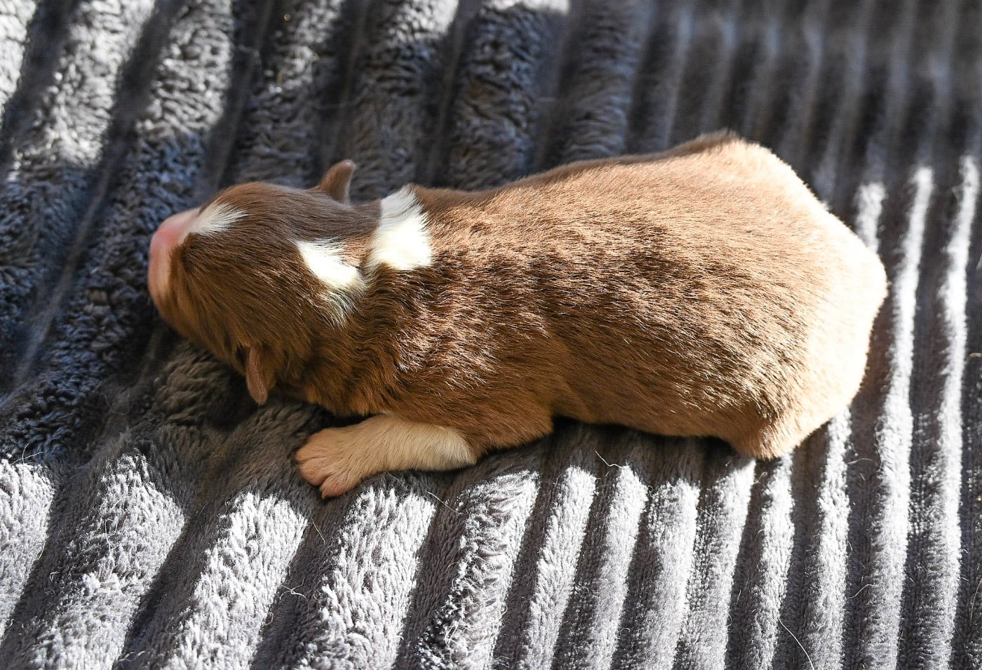 B...........................