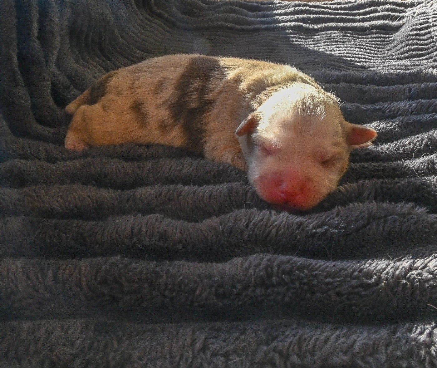 B...........................