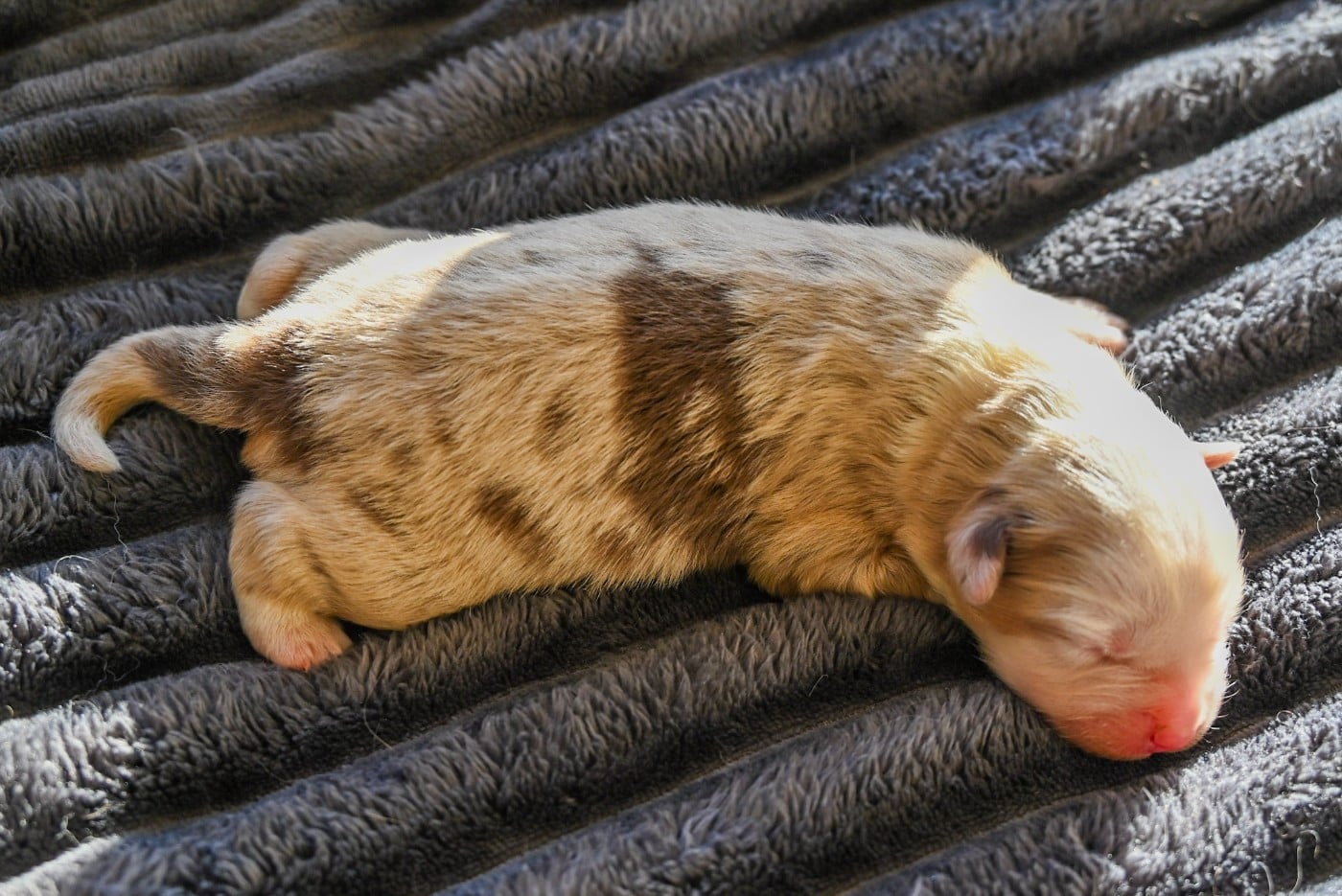 B...........................