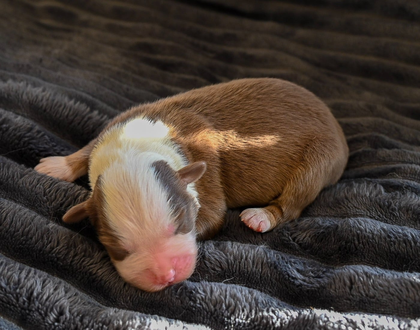 B...........................