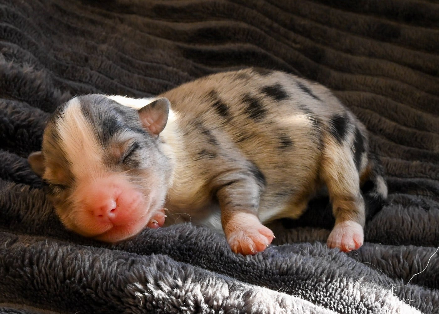 B...........................