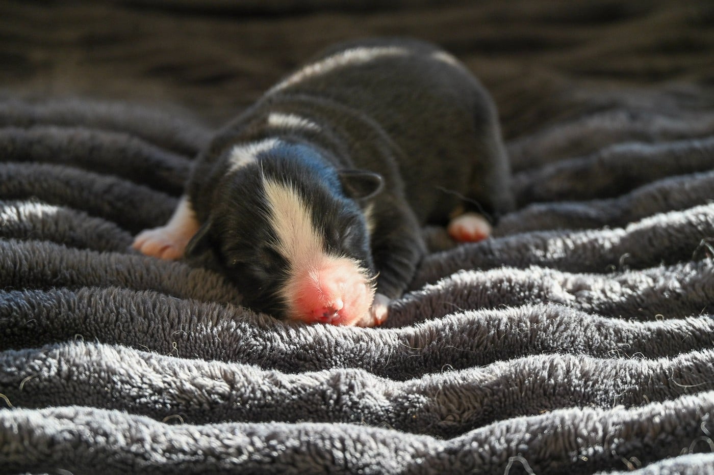 B...........................