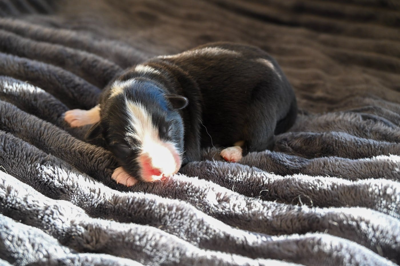 B...........................