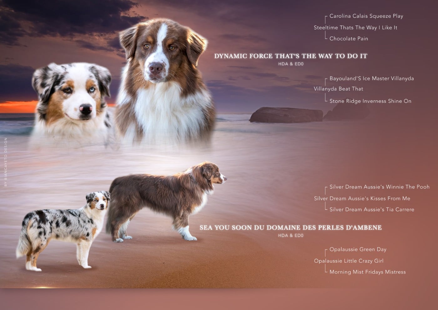 Berger Australien - Domaine des Perles de la Riviera