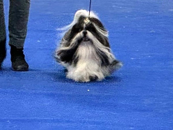 Publication : Claudine Cordier