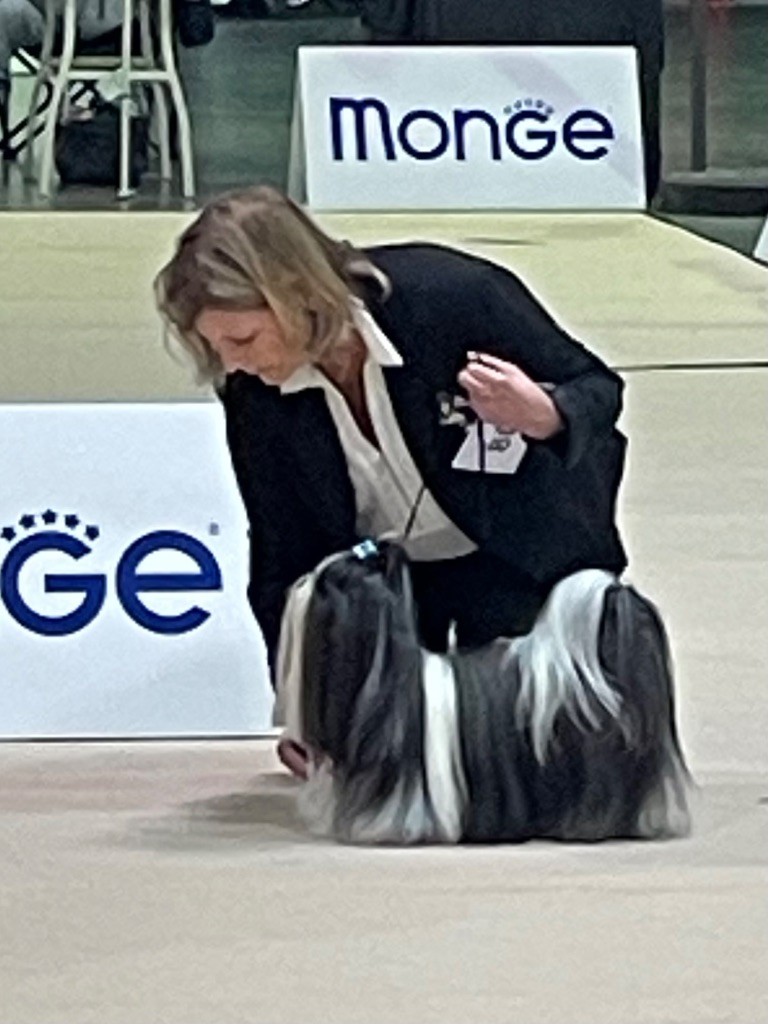 Publication : Claudine Cordier