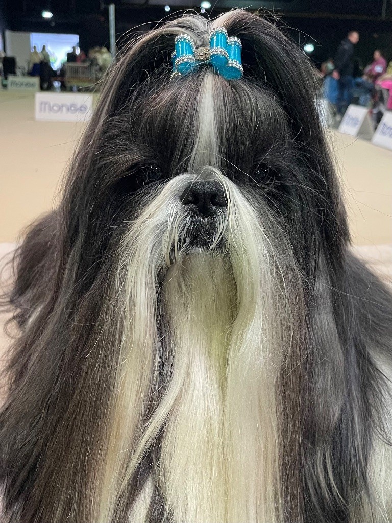 Publication : Claudine Cordier