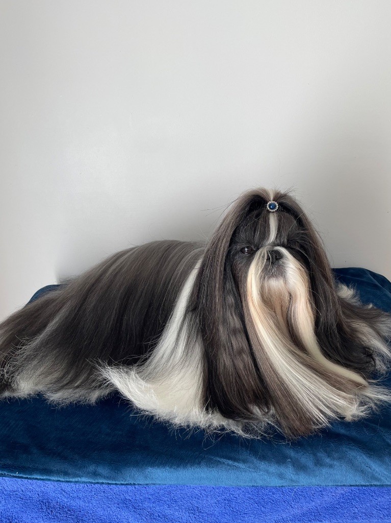 Publication : Claudine Cordier