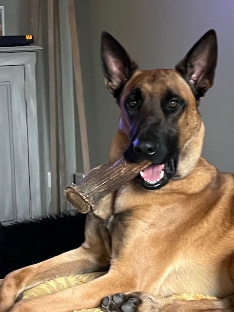 Publication : PIERRICK ZEGHERS Auteur : pierrick