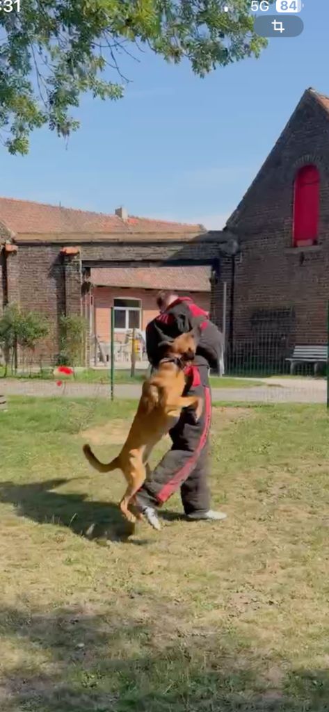 Publication : PIERRICK ZEGHERS Auteur : pierrick